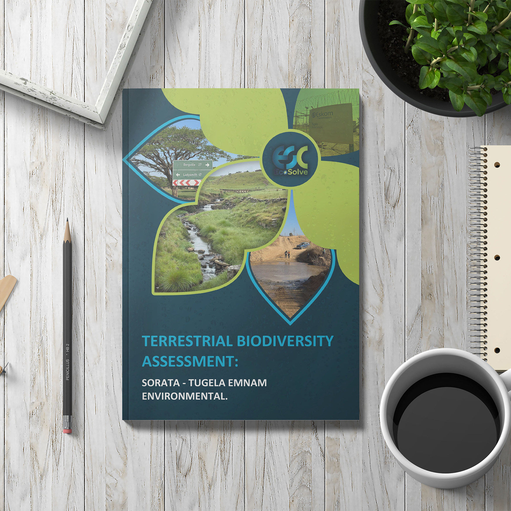 EcoSolve Report Cover 3