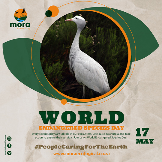 Environmental Awareness Flyer 1