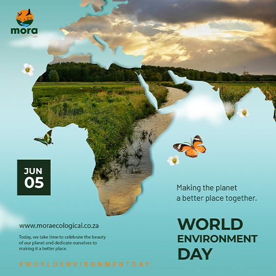 Environmental Awareness Flyer 2