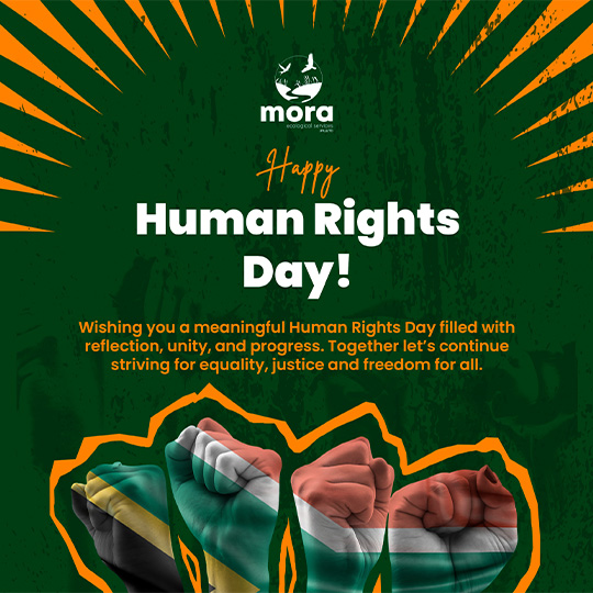 Public Holidays Flyer 2