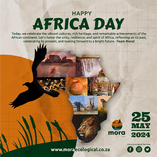 Public Holidays Flyer 3